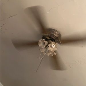 Meet your Posher, Louis